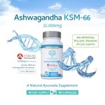 Ashwagandha KSM-66 : 12,500mg Daily Super High Strength Ashwagandha - 5% Withanolides - Equivalent 1000mg Extract - No Artificial Fillers or Binders - Organic Withania Somnifera Root - UK Made