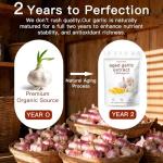 Aged Garlic Extract - 300 Softgels, 7500mg Equivalent - Odorless, Non-GMO Supplement - All Natural, 2-Year Matured for Daily Wellness Support