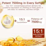 Aged Garlic Extract - 300 Softgels, 7500mg Equivalent - Odorless, Non-GMO Supplement - All Natural, 2-Year Matured for Daily Wellness Support