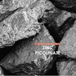 Zinc Picolinate 100mg - Immune Suport Elemental Zinc Picolinate - 90 Vegan Capsules (3 Months Supply) - Resealable and Recyclable Pouch by Alpha01