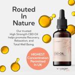 MEND Ultra High Strength CBD Oil 6000Mg – Strongest C.B.D Drops Made in UK – Cannabis Oil for Pain Relief, Recovery & Relaxation – CBD Very Strong Concentration - No THC – Vegan – 30ML