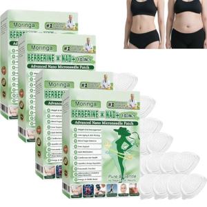Moringa 10 In 1 Advanced Slimming Patches,Nano Microneedle Patch,Natural Metabalance Patch, Weight Loss Patches Gentle Soothing Slimming Patches For All Body Types For Men And Women (A-4Box)