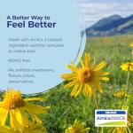 Boiron Arnica Montana 200CK Homeopathic Medicine for Pain Relief, Muscle Pain & Stiffness, Swelling from Injuries, & Bruises - 3 Count (240 Pellets)