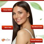 Red Label Health Vitamin B Complex High Strength 360 Tablets (1 Year Supply) - B1, B2, B3, B5, B6, B12, Biotin & Folic Acid for Men & Women, Vegan & Vegetarian-Friendly