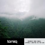 Ashwagandha - Ultra High Potency 20:1 Extract with 10% Withanolides - Wild Harvested in India - Highly Concentrated - Third-Party Lab Tested - 90 Capsules