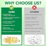 High Strength Aged Garlic Extract Softgels 7500mg | 300 Softgels | Gluten Free | Allicin-Rich Garlic Supplement for Daily Wellness