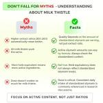 Milk Thistle High Strength 10000mg | 400mg Silymarin per Capsule | 90-Day Supply | Enhanced with Black Pepper | Herbal Supplement for Liver Detox | Lab Tested