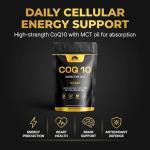 Bearactive CoQ10 Supplement Softgels - Heart Health, Energy & Recovery - Coenzyme Q10 High Strength - Q10 Coenzyme Ubiquinone – 30 Vegan Softgels with Coconut MCT Oil (COQ10 400mg - 30 Softgels)