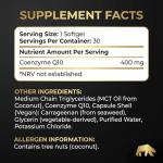Bearactive CoQ10 Supplement Softgels - Heart Health, Energy & Recovery - Coenzyme Q10 High Strength - Q10 Coenzyme Ubiquinone – 30 Vegan Softgels with Coconut MCT Oil (COQ10 400mg - 30 Softgels)