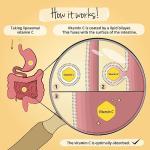 Vegavero Liposomal Vitamin C | 120 Capsules | Lab Tested, Highly Bioavailable PureWay-C | Authentic Phospholipid Bilayer Technology | Vegan