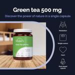 Vitaler's Green Tea 500 mg – 60 Capsules, 2 Months Supply, Vegan, No Preservatives, Pure Composition