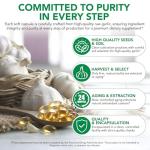 Aged Garlic Extract 7500mg Odorless Garlic Softgels – High Potency Garlic Supplement, Garlic Extract Capsules for Heart & Immune Support, Vegetarian, Non-GMO, All-Natural Daily Wellness