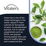 Vitaler's Green Tea 500 mg – 60 Capsules, 2 Months Supply, Vegan, No Preservatives, Pure Composition