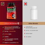 Pure Shilajit & Organic Ashwagandha KSM-66 | 2000mg High Strength Adaptogen Blend | 90 Vegan Capsules (3 Month Supply) | Rich in Fulvic Acid for Energy, Stamina & Vitality | London Life Sciences