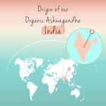 Vegavero Organic Ashwagandha Capsules | 2010 mg Root Powder | 180 Vegan Pills | Standardised 2% Withanolides | Lab-Tested | NO Additives | Vegan