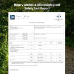 Organic Plant Sterols 1500mg - Sourced from Pine Bark Extract - 90 Vegan Capsules - Heart Health Support Herbal Supplement - Resealable and Recyclable Pouch - By Alpha01