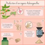 Vegavero Organic Ashwagandha Capsules | 2010 mg Root Powder | 180 Vegan Pills | Standardised 2% Withanolides | Lab-Tested | NO Additives | Vegan