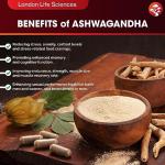 Pure Shilajit & Organic Ashwagandha KSM-66 | 2000mg High Strength Adaptogen Blend | 90 Vegan Capsules (3 Month Supply) | Rich in Fulvic Acid for Energy, Stamina & Vitality | London Life Sciences