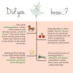 Vegavero Organic Ashwagandha Capsules | 2010 mg Root Powder | 180 Vegan Pills | Standardised 2% Withanolides | Lab-Tested | NO Additives | Vegan