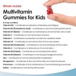 Multivitamins for Children Kids Sugar Free Multivitamin Gummies Two Months + Zinc 15 Essential Vitamins A, B3, B5, B6, B7, B9, B12, C, D3, E with Minerals, Gluten-Free Vegan Halal Multivits for Kids