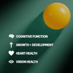 Tonic Health Kids Omega 3 Gummies – No Fishy Taste - 30 Sugar Free Tropical Gummies Max-Strength DHA & EPA Wild-Caught & Sustainably Sourced Supports Brain Vision & Heart Health