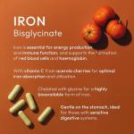 Gentle Iron – High Strength 24mg Iron Plus Natural Vitamin C – 180 Capsules - for Men and Women – Active & Bioavailable Form – UK Made Supplement – GMP Standards – Zero Additives – Vegan