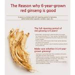 JUNGWONSAM 6-Year-Old Korean Red Ginseng Extract 365 Stick