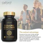 Advanced Turmeric and Black Pepper Capsules Made in the UK | ONE per Day Turmeric Supplement with Ginger & Black Pepper | High Absorption Tumeric Supplement Joints Care (240 Count)