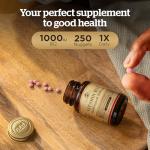 Solgar Vitamin B12 1000 µg Sublingual Chewable Nuggets - Pack of 250 - Reduces Fatigue and Supports Energy Release - Vegan