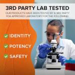 Turmeric Curcumin & Black Pepper with Ginger | 120 Tablets | Made in the UK | Supplement for Men & Women | Vegan Friendly & Gluten Free (120)