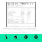 Vitamin B Complex High Strength | 90 Capsules - 90 Day Supply | All 9 B Vitamins B1-B2-B3-B5-B6-B7-B9-B10-B12, Inositol and Choline | Completely Clean - No Fillers | Love Life Supplements