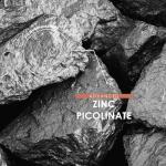 Zinc Picolinate 25mg – 90 Vegan Capsules (3 Months Supply) – 250% Daily NRV - Elemental Zinc Picolinate – Resealable and Recyclable Pouch by Alpha01