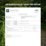 Zinc Picolinate 25mg – 90 Vegan Capsules (3 Months Supply) – 250% Daily NRV - Elemental Zinc Picolinate – Resealable and Recyclable Pouch by Alpha01