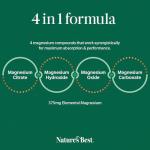 MagAsorb® Complex 375mg | High Strength Magnesium | 180 One-A-Day Magnesium Vegan Tablets (at 100% NRV) | 6 Month’s Supply | Contributes to the Reduction of Tiredness & Fatigue | UK Made