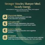 MagFit Magnesium Supplement with CoQ10, L-Carnitine for Energy Support, Heart Health, Blood Pressure Control and Muscle Recovery, Vegan Capsules, 60 Count, Made In UK