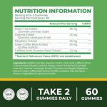 Green Tea Thermogenic Gummies | Metabolism, Workout & Appetite Support Supplements for Women & Men | 45% EGCG with Green Coffee Bean Extract & Raspberry Ketones | Keto Diet Friendly, Apple Flavor 60ct