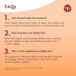 Nutravita Vitamin B Complex High Strength with Vitamin D + Vitamin C 500 Tablets for +1 Year of Supply, Energy-Yielding Metabolism - Reduction of Tiredness & Fatigue (EFSA) Made in the UK