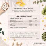 Ashwagandha KSM-66 Complex Enhanced with Magnesium, Zinc & Vitamin B6 | High Strength Ashwagandha Root Supplement | 120 Vegan Capsules (Not Tablets) | by Horbaach