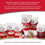 100% Authentic American Ginseng Capsules -500 mg. Potent Ground Ginseng Root - No Fillers, Binders or Other Additives (75)