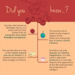 Vegavero Natural Vitamin C Supplement | Organic VIT C from Acerola Cherry Extract | 225% NRV | NO Additives| 180 Capsules | Vegan