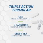Applied Nutrition CLA + L-Carnitine & Green Tea - Fat Burner for Weight Loss, Energy & Metabolism Support (100 Capsules / 50 Servings)
