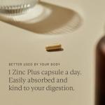 WILD NUTRITION Food-Grown Zinc Plus | Zinc Supplements Blended with Vitamin B1, B2 & B6 for Cognitive & Immune Support + More with Thiamin & Riboflavin | 30 Capsules