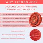 WELL ACTUALLY Liposomal Vitamin C 1000mg - (250ml - 50 Servings) High Strength Liquid Liposomal Vitamin C Supplement - Supports Immunity, Skin, Brain, Joints, Energy - Vegan, Fruit Fusion