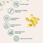 Aged Garlic Extract - Odorless Organic Garlic Extract, 300pcs 7500mg