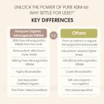 INNOPURE Organic Ashwagandha KSM 66® Pure Fill (No Fillers or Binders) High Strength 500mg of Pure Ashwagandha 5% Withanolides, Organic Ginger & Black Pepper (60 Servings) UK Made