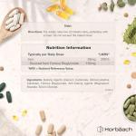 Iron Tablets High Strength 28mg | 500 Tablets (8+ Months Supply) | Highly Bioavailable | Elemental Iron From 163mg Ferrous Bisglycinate | Vegan | Supplement for Men & Women | By Horbaach