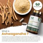 Organic High Concentration Full Spectrum KSM-66 ASHWAGANDHA with 5% Withanolides and Black Pepper, Made in Britain by Royal Oak Health, 60 Capsules