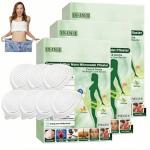 Luxarise Moringa 10-IN-1 Advanced Nano Microneedle Patch,2026 New Luxurious WeightLoss Patches, Natural Metabalance Patch, Microneedle Patches, Gentle Soothing, for All Body Types (3 Box)