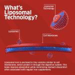 ORZAX Iron Supplement 25 mg -Liposomal Technology- High Bioavailability 90 Vegetable Capsules, Non-Constipating, Non-GMO & Gluten Free, for Women, Men, Adults