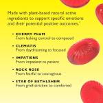 RESCUE Bach PASTILLES, Watermelon Flavor, Stress Relief Lozenges, Homeopathic, Flower Essences, 35 Count